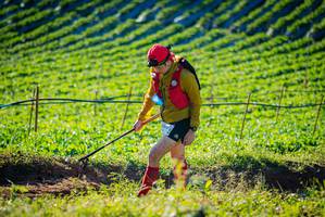 BIB: 
                            <button type="button" onclick="openModal(19160252)" class="btn btn-primary btn-sm float-right btn-popup" data-toggle="modal" data-target=".modal-high-quality">
                        <i class="fas fa-shopping-cart"></i> Add to Cart
                    </button>
                                            <button type="button" onclick="isThisMe(19160252, true)" class="btn btn-success btn-sm float-right btn-popup btn-isme hidden" data-toggle="tooltip" data-placement="bottom" title="นี่คือรูปของคุณใช่ไหม คลิกที่นี่เพื่อเอาเข้าอัลบั้ม">
                        <i class="fas fa-plus"></i> Add to album
                    </button>
                    <button type="button" onclick="isThisMe(19160252, false)" class="btn btn-warning btn-sm float-right btn-popup btn-isnotme hidden">
                        <i class="fas fa-ban"></i> Remove from album
                    </button>